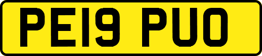 PE19PUO