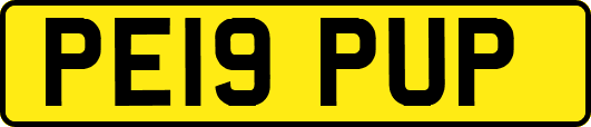 PE19PUP