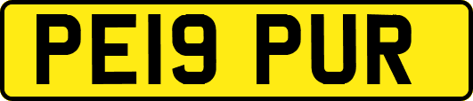 PE19PUR