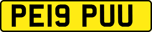 PE19PUU