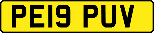 PE19PUV