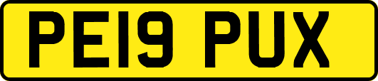 PE19PUX