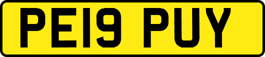 PE19PUY