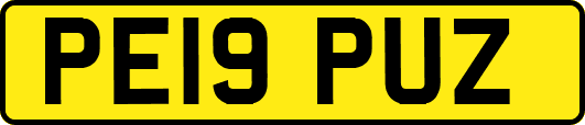 PE19PUZ