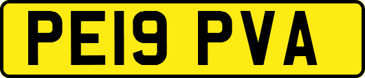 PE19PVA