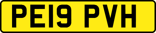 PE19PVH