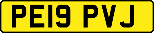 PE19PVJ