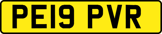 PE19PVR