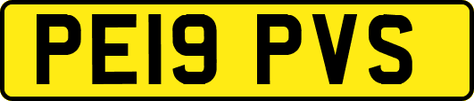 PE19PVS