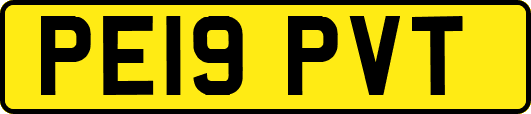 PE19PVT