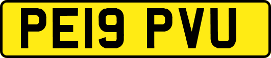 PE19PVU