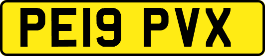 PE19PVX