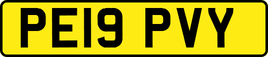 PE19PVY