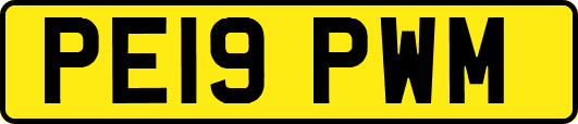 PE19PWM