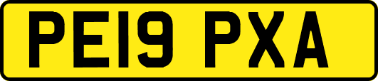 PE19PXA