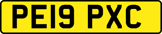 PE19PXC
