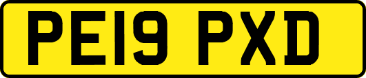 PE19PXD