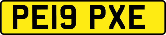 PE19PXE