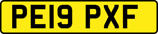 PE19PXF