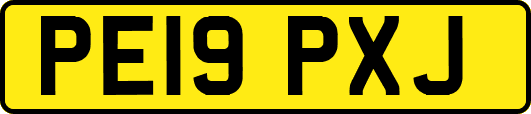 PE19PXJ