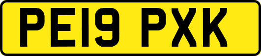 PE19PXK