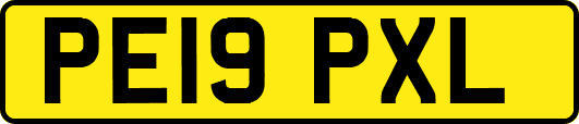 PE19PXL