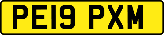 PE19PXM