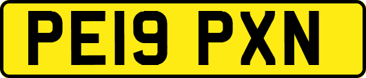 PE19PXN