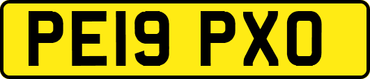 PE19PXO