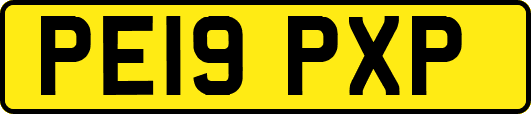 PE19PXP