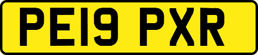 PE19PXR