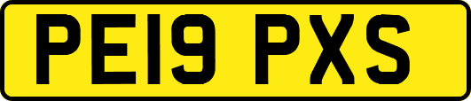 PE19PXS