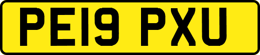 PE19PXU