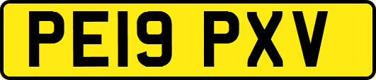 PE19PXV