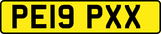 PE19PXX