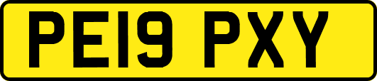 PE19PXY