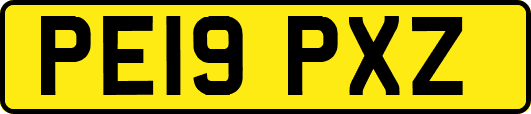 PE19PXZ