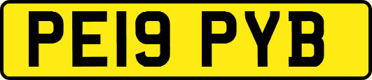 PE19PYB
