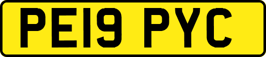PE19PYC