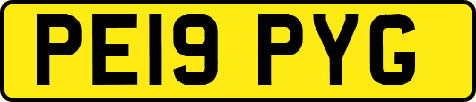 PE19PYG