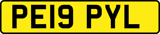 PE19PYL