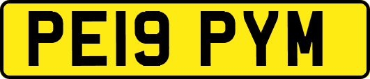 PE19PYM