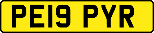 PE19PYR
