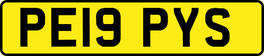 PE19PYS