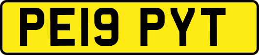 PE19PYT