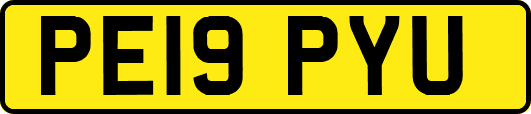 PE19PYU