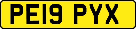 PE19PYX