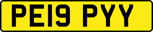 PE19PYY