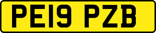 PE19PZB