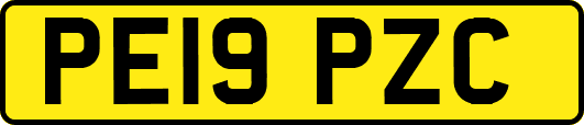 PE19PZC